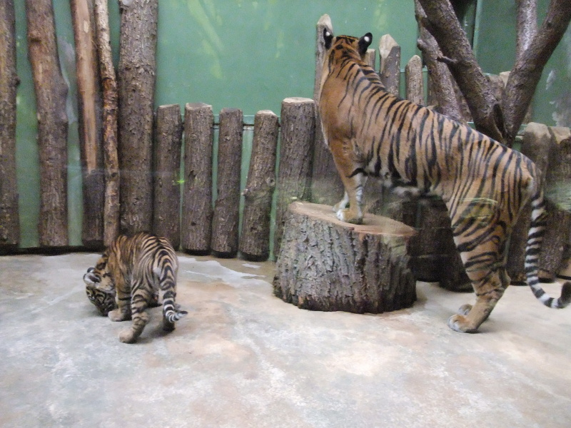 Zoo 3.A 2011 (73).jpg